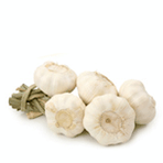 Garlic Bulb